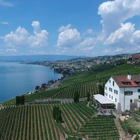Domaine De La Crausaz Grandvaux Ngoại thất bức ảnh